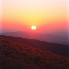 Breath of the New Sky