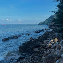 Mộng Hoa Sim - Filler