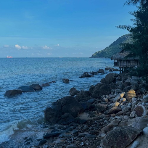 Mộng Hoa Sim - Filler