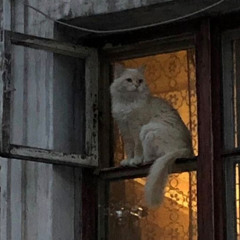 уличная жизнь-вышел покурить