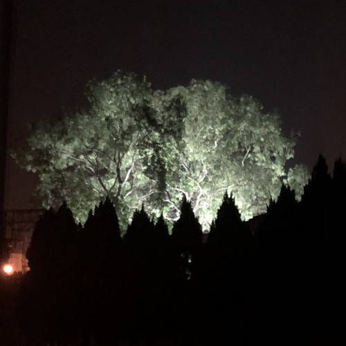 broken dreams - suffershade