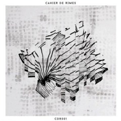 Dézuets D'Plingrés & Raistlin - Hip Hop Activistes