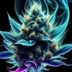 Pluto Talk 126 Bmin @wooshymusic X @spinoz17