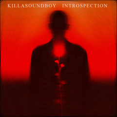 INTROSPECTION (Techno Dub Meet Electro)