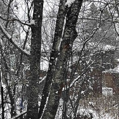 Lookingoutthewindowwatchingsnowfallonmydeadfriendshouse