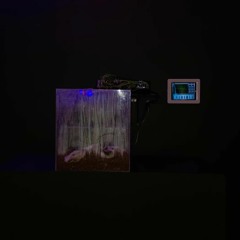 Fermynwoods Podcast 22 - Tosca Terán