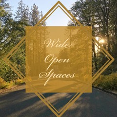 Wide Open Spaces - Original