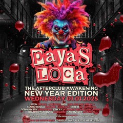 dj vine c b2b nachtzicht new years eve paya loca .mp3