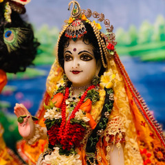 Nimai Gadhvi - Radhadesh Evening Kirtan 26/01/2024