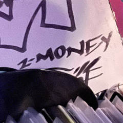 VB013124 Z-Money