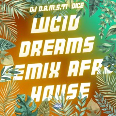 DJ D.A.M.S.77 DICE LUCID DREAMS REMIX AFRO HOUSE 2025