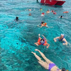 Review Special Price Fullday Catalina Island Snorkeling Tour From Punta Cana
