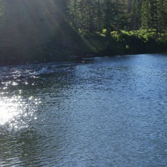the fisherman