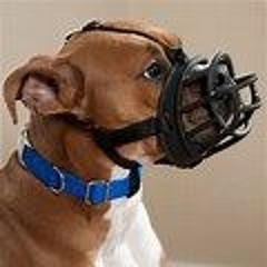 Muzzle