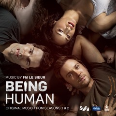Being Human USA version (2011-2014)