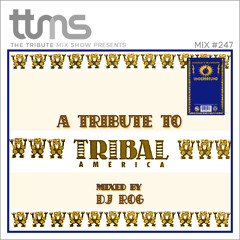 #247 - A Tribute To Tribal America - mixed by DJ ROG