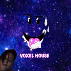 ГИМН ВОКСЕЛЬ (ПИКСЕЛЬ) ХАУСА