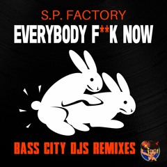 Everybody Fuck Now (Bass City DJs Radio Remix)