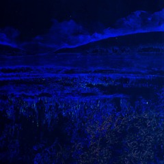 The Transience of Time (soundtrack, 2021)