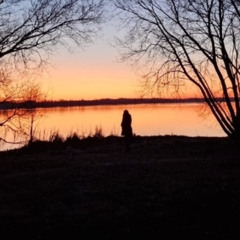 "Leave out all the rest" Linkin Park piano cover