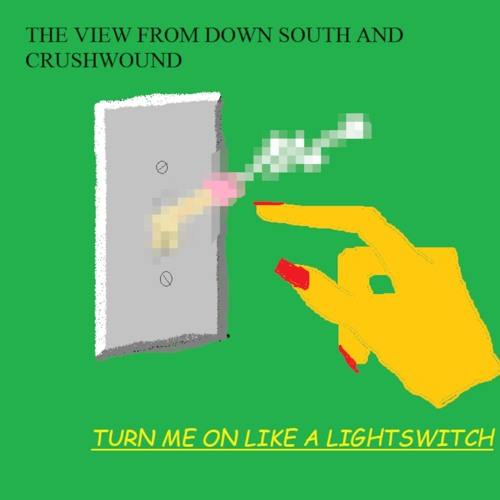Turn Me On Like A Light Switch (feat. The View From Down South)