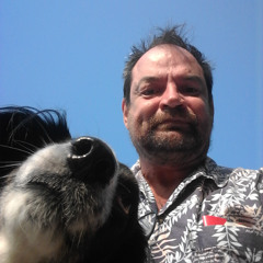 The Dog Diaries Pt51