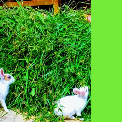 hk_breakbeat_tracks_201