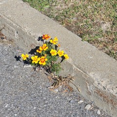 Daydreams On a Dancefloor