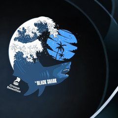 Sunset ElectroDance -Black Shark Music( GROOVE SENSATION)