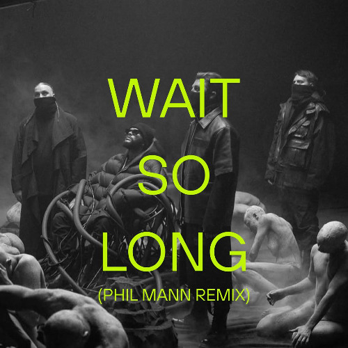 Swedish House Mafia - Wait So Long (Phil Mann Remix) FILTER FOR SC
