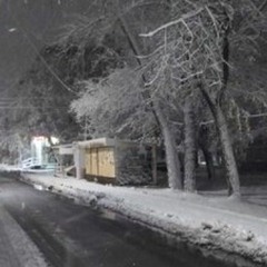 blood girl - ghosting (mother mother cover)