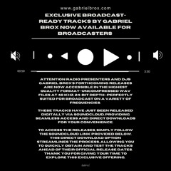 Sing a Harder Necessary Song - Remembering Veronica Guerin (Radio Edit)