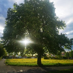 I - Can - This *repost*