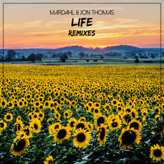 Life (We Are Free) (AMSTYZA Remix)