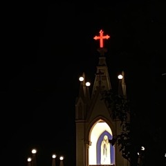 W.N.T