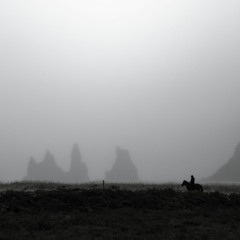 Fogbound