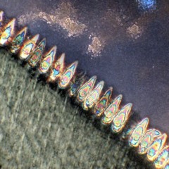 Solar Leech