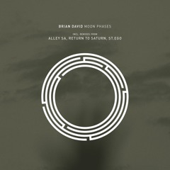Brian David - Moon Phases (Alley SA Remix)