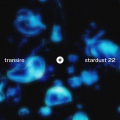 transire - stardust mix 22