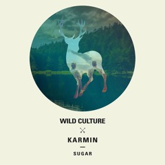 Sugar (Wild Culture vs. Karmin;Extended Mix)