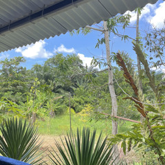 33 - O Brilho de Deus - Flávio Passos & Sérgio & Negri