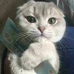 nhạc nhẽo