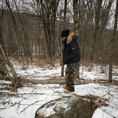 reverse (p. 5kjordn1 + Rio + Nash)