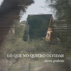 Lo que no quiero olvidar