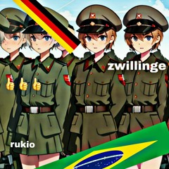 Zwillinge (Elotrix rage brazilian funk remix)
