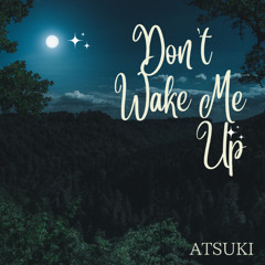 Don’t Wake Me Up