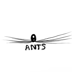 Sandro / Pop Up // Ants Coffee