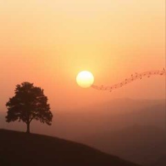 ESTABLISH 2026— SPOKEN WORD (Soft Piano