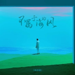 不属于海的风 (Dj版)