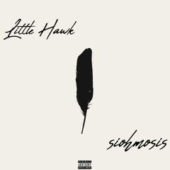 Little Hawk